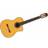 Takamine TH5C