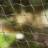 Zooplus Bidfast Safety Net For Cats