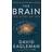 The Brain: The Story of You (Paperback, 2016)