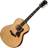 Taylor 618e