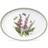 Portmeirion Botanic Garden Oval Uppläggningsfat 33cm