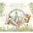 Beatrix Potter the Complete Tales (Boxed Set) (Audiobook, CD, 2006)