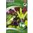 Nelson Garden Salat Baby Leaf Mix 800 pack
