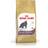 Royal Canin British Shorthair Adult 0.4kg
