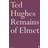 Remains of Elmet (Paperback, 2011)