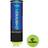 Tecnifibre Champion One 3 Ball Tube - 3 bollar
