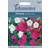 Johnson's Petunia 'Bedding Mixed' 750 pack