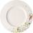 Rosenthal Brillance Fleurs Sauvages Flat tallrik 28cm