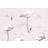 Cole & Son Flamingos Wallpaper Contemporary Restyled 95/8046 Roll