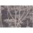 Cole & Son Cow Parsley Designtapete von and Schwarz brun