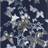 Christian Lacroix Carnets Andalous (pcl008-07)