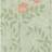 Cole & Son Nautilus Wallpaper Whimsical Collection Soft olive pink 103/4020 Roll