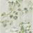 Designers Guild Floreale (pdg673-05)