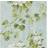 Designers Guild Floreale (pdg673-02)
