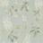 Sanderson Chestnut Tree (215708)