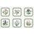 Portmeirion Botanic Garden Coaster 6pcs
