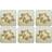 Pimpernel Antique Rose Glasunderlägg 6st