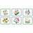 Pimpernel Exotic Botanic Garden Coaster 6pcs