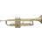 Stagg WS-TR115