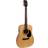 Cort AD810E