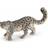 Papo Snow leopard 50160