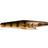 Strike Pro The Pig 15cm Golden Perch