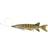 Savage Gear SG 3D Line Thru Pike 30cm Pike