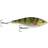 Savage Gear SG 3D Roach Jerkster 14.5cm SS Perch