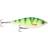 Savage Gear SG 3D Roach Jerkster 14.5cm SS Firetiger