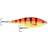 Savage Gear SG 3D Roach Jerkster 14.5cm SS Golden Ambulance