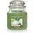 Yankee Candle Vanilla Lime Medium Doftljus 411g