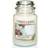 Yankee Candle Shea Butter Large Doftljus 623g