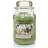 Yankee Candle Olive & Thyme Large Doftljus 623g