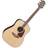 Takamine GD93