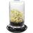 GEFU Bivita Container for Sprouts Kitchenware