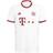adidas Bayern FC München Third Jersey 16/17