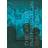 The Art of Participation: 1950 to Now (Hardcover, 2008)