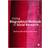 Using Biographical Methods in Social Research (E-Book, 2009)