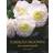 Tuberous Begonias (Hardcover, 2011)