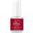 IBD Just Gel Polish Marigold 14ml