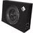 Rockford Fosgate R2S-1X10