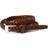 SDLR Belt Female - Brown