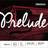 D'Addario J1010 1/4M