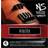 D'Addario NS310