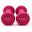 Proiron Neoprene Dumbbells 2x1kg