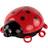 Ansmann Ladybird Starlight Night Light