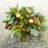 Flowerhouse.se Natural Bouquet