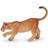 Papo Young Lioness 50124