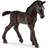 Schleich Lipizzaner Foal 13820