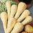 Suttons Parsnip Seeds - F1 Gladiator 350 Seeds Pack